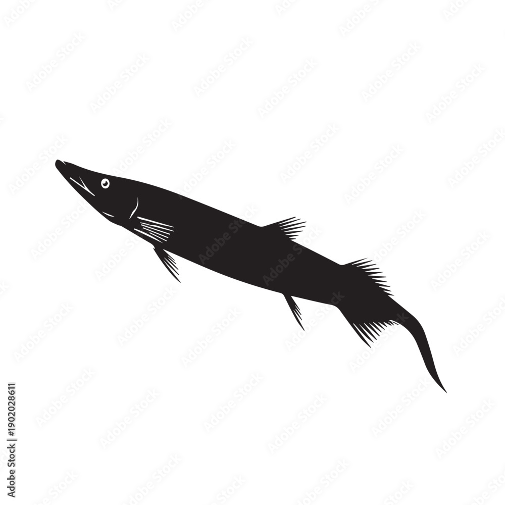 Obraz premium silhouette of a mackerel fish isolated on white.