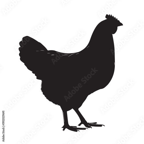 Chicken silhouette. Bird element illustration in simple flat style isolated on white background. Vector symbol design from farm collection. Can be used in web and mobile. EPS