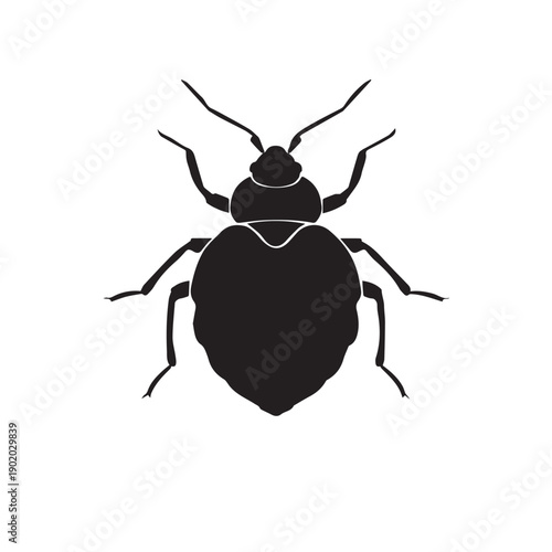 Bed bug silhouette isolated on white background. Bug icon vector illustration design.