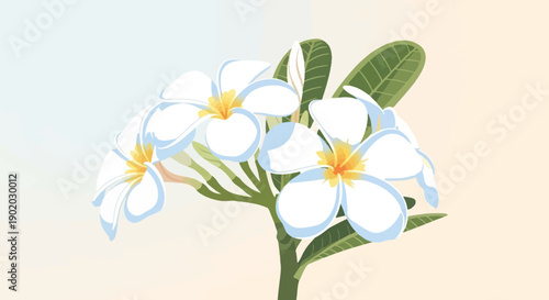 Delicate white and yellow blossoms on a muted, textured backdrop