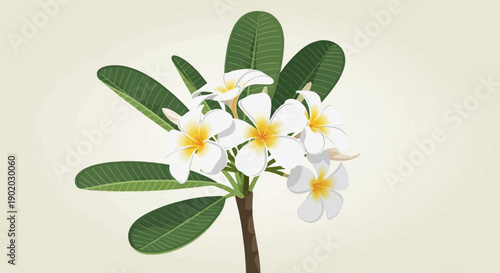 Delicate white and yellow blossoms with green leaves on a textured cream background