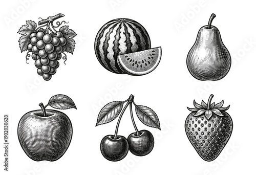 Set of fruit illustrations in vintage woodcut and engraving style featuring grape apple watermelon pear cherry and strawberry