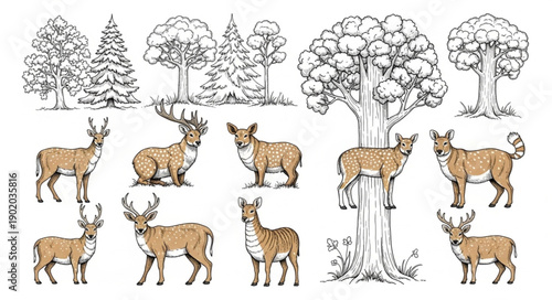 Collection of Deer and Forest Trees Hand Drawn Sketch.
