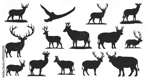 Collection of Deer Silhouettes in Various Poses.