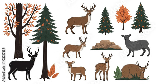 Collection of Deer and Forest Elements.