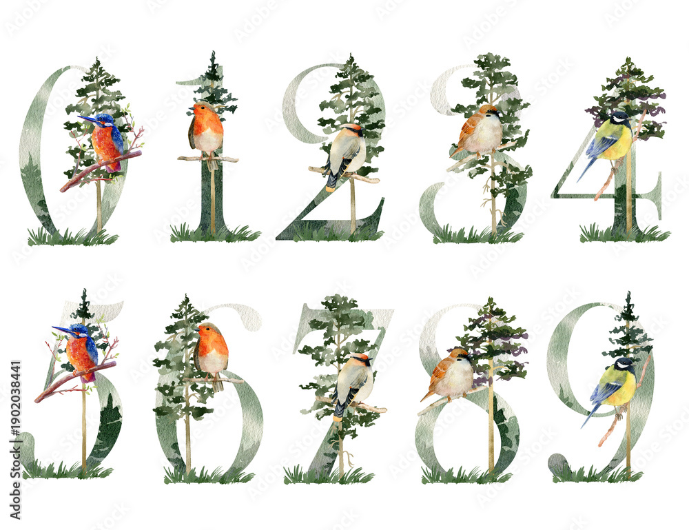 Fototapeta premium Watercolor forest numbers.