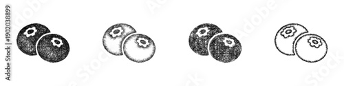Sketch blueberry icon design set
