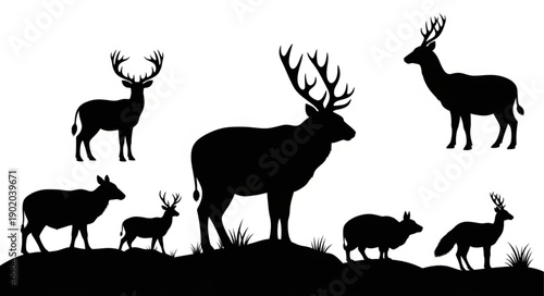Collection of Deer Silhouettes on White Background.