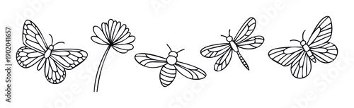 Collection of hand drawn line outlines depicting various flying insects and a botanical flower suitable for springtime projects, educational resources, and crafting applications.