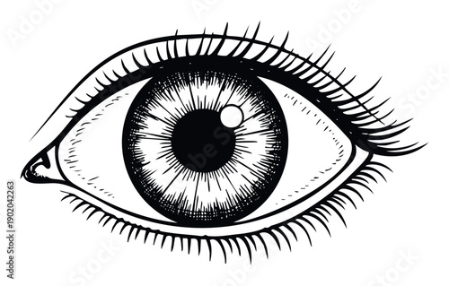 Detailed human eye drawing with intricate iris and thick eyelashes representing concepts of sight, perception, and insight for visual media applications