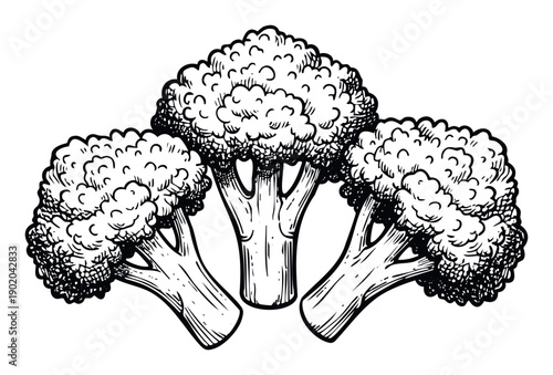 Graphic black and white depiction of three fresh broccoli florets for use in healthy eating publications, restaurant menus, or organic food marketing materials promoting a nutritious