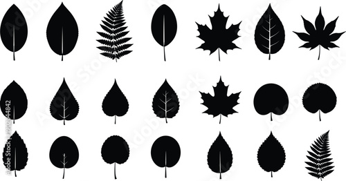 Black leaf silhouette collection with diverse botanical shapes, unique vein patterns, natural plant icons for educational guides, graphic design, digital art, and creative projects
