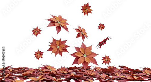 Falling Red Poinsettias on White Background