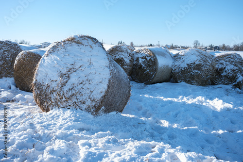 Fototapeta haystacks in a field under the snow in winter