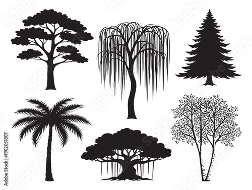 Botanical tree silhouette with refined organic form