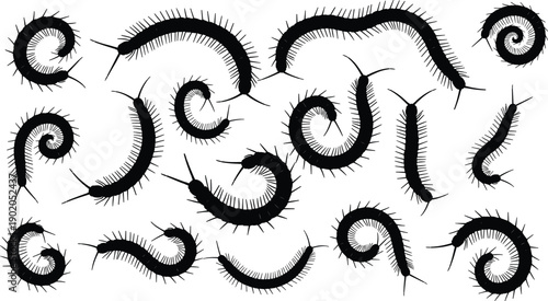 Centipede arthropod silhouette mega collection showing multiple crawling insect poses with detailed legs and body segments for biology and pest design isolated on white