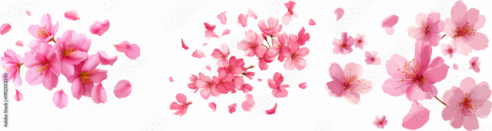 Fototapeta premium Elegant Blossom: Cherry Blossoms in Full Bloom