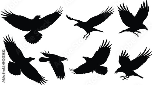 Flying bird silhouette set in dynamic poses showing wings spread, wildlife freedom concept, black avian shapes, nature symbolism, isolated on white background