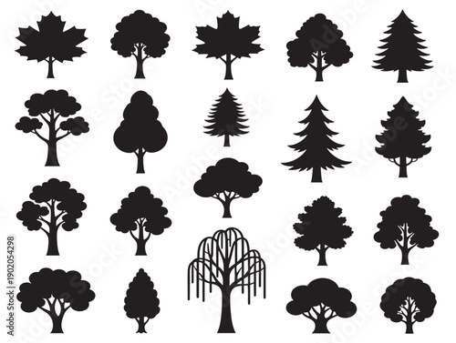 Classic tree silhouette with strong natural roots