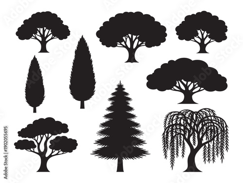 Garden tree silhouette with peaceful outdoor aesthetics