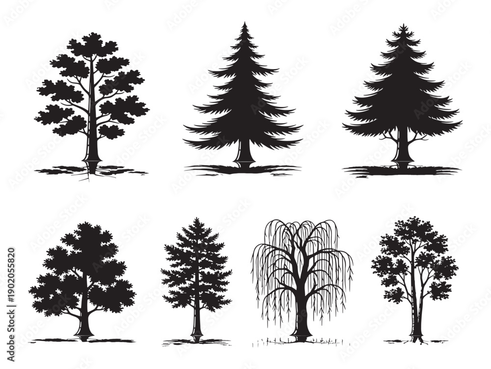 Fototapeta premium Tall tree shadow artwork for dramatic forest scenes