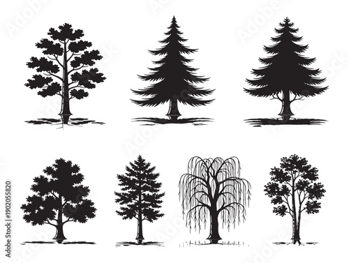 Tall tree shadow artwork for dramatic forest scenes