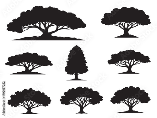 Ornamental forest tree artwork with refined details