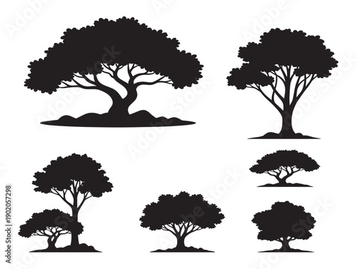 Tree horizon silhouette with wide scenic composition