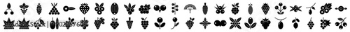 Minimalist black filled berry and fruit icons collection for food app interface