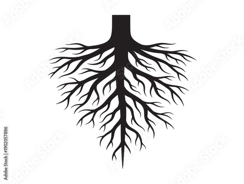 Detailed root system tree artwork for educational visuals