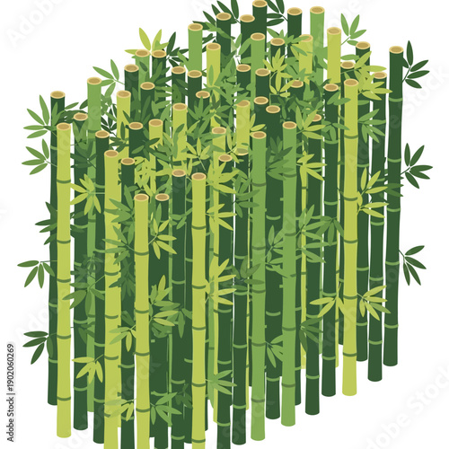 Bamboo stalks with leaves in various shades of green.