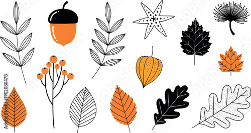Autumn botanical leaf and nature element set with acorn, berries and foliage, hand drawn vintage flat vector illustration for fall, seasonal and decorative design