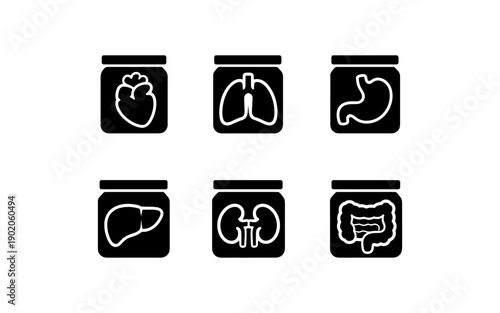 Collection of internal human organs preserved in jars, medical illustration icons