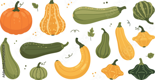 Autumn squash and pumpkin vegetable set with gourds and zucchini varieties, hand drawn botanical flat vector illustration for harvest, food and seasonal design