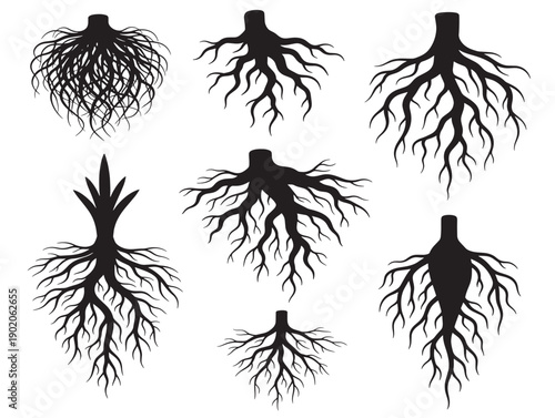 Tree roots spreading underground vector illustration