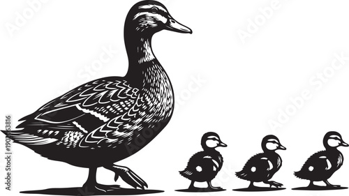 Black silhouette of a mother duck walking with three ducklings baby ducks family