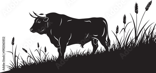 Black silhouette of a powerful bull standing in tall grass cattle animal