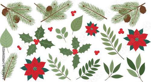 Holiday greenery vector set with red poinsettias holly berries and pine branches for Christmas wreath design or festive winter stationerySunflowers