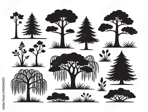 Forest ecosystem tree roots shadow artwork