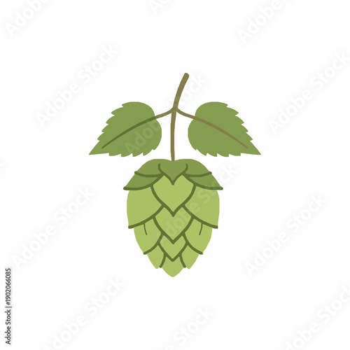 Single hop cone on twig flat vector illustration for brewing and herbs
