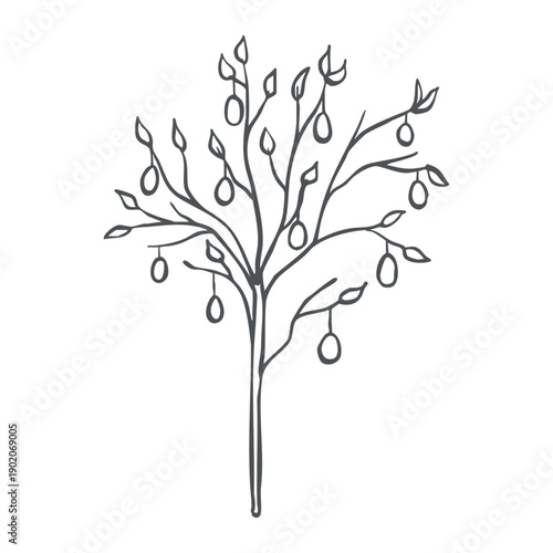 Whimsical tree with easter eggs hanging from branches vector graphic illustration. Hand drawn isolated festive doodle for Easter egg hunt design. Simbol of spring outline sketch for card, invitation.
