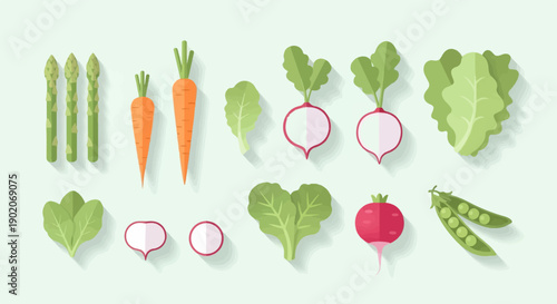 Flat vector illustration of various fresh vegetables on a light background
