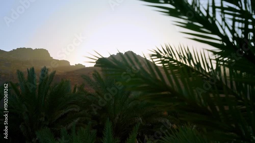 AlUla, Saudi Arabia – Peaceful Desert Oasis With Palm Groves, Green Gardens, Scenic Nature Landscapes
