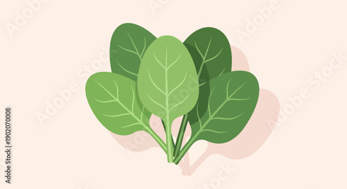 Flat design illustration of fresh green spinach leaves on a light background