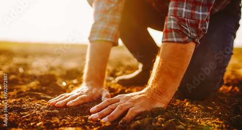 Male hands touching soil on the field. Expert hand of farmer checking soil health before growth.