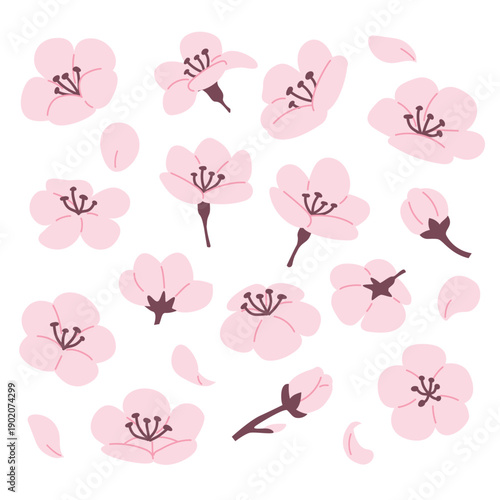 Pink Cherry blossom graphic design source set