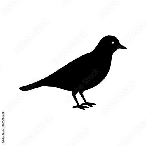 Black silhouette of a small bird standing on white background  