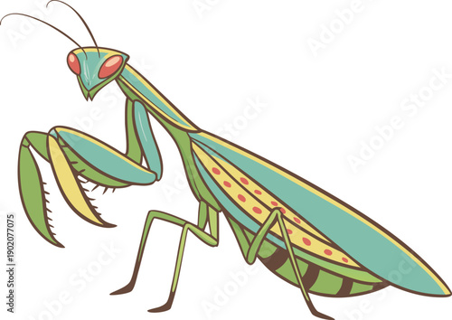 Praying Mantis in Focus: A striking, detailed illustration of a praying mantis, showcasing its unique features against a plain background. Capturing the intricate beauty of the insect world.