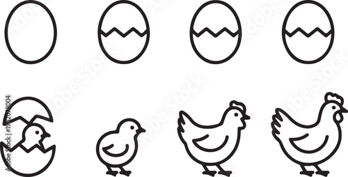 A progressive visual sequence of an egg hatching into a chick and growing into a full grown hen