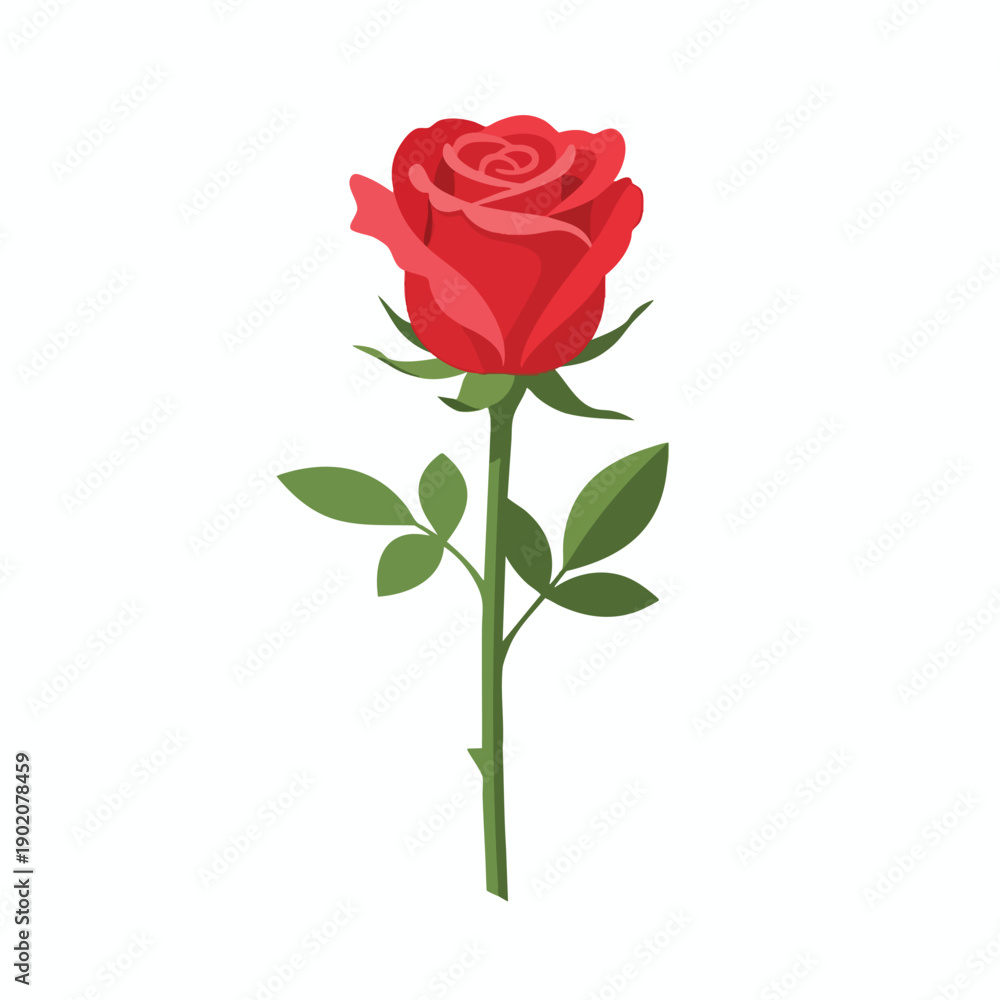 Fototapeta premium Vibrant Red Rose Illustration on White Background